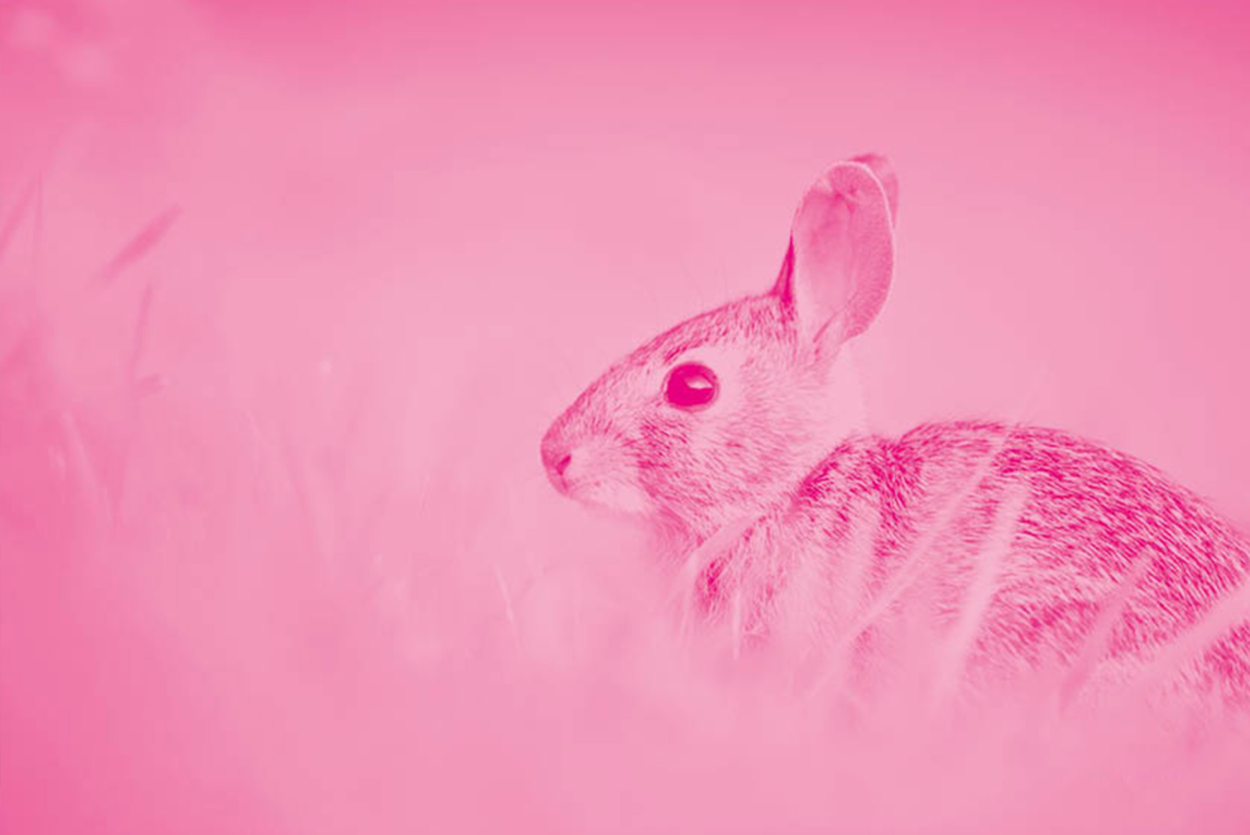 Osterferienprogramm 2026 - Foto: © Pexels - pixabay.com