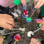 Obstsalat - Foto: © Catrin Wechler