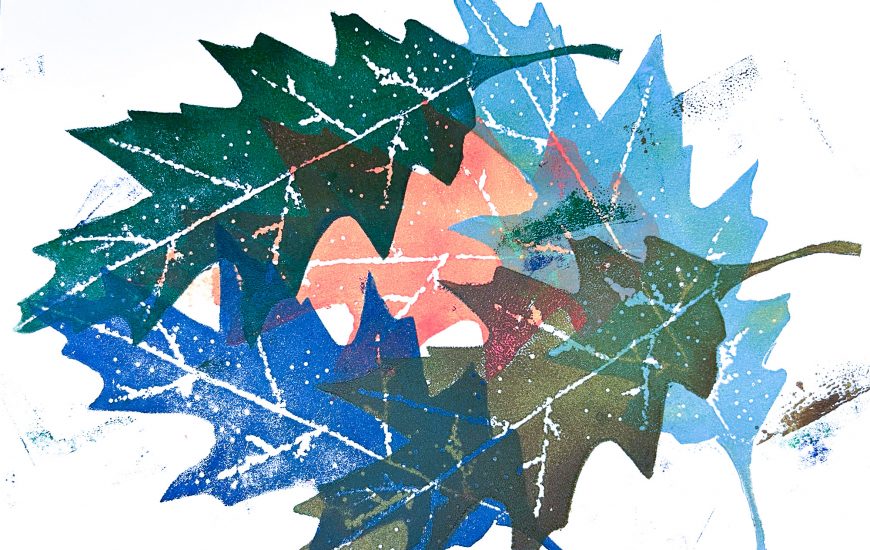 Surreale Pflanzen - Foto: © Corina Ott-Seelow