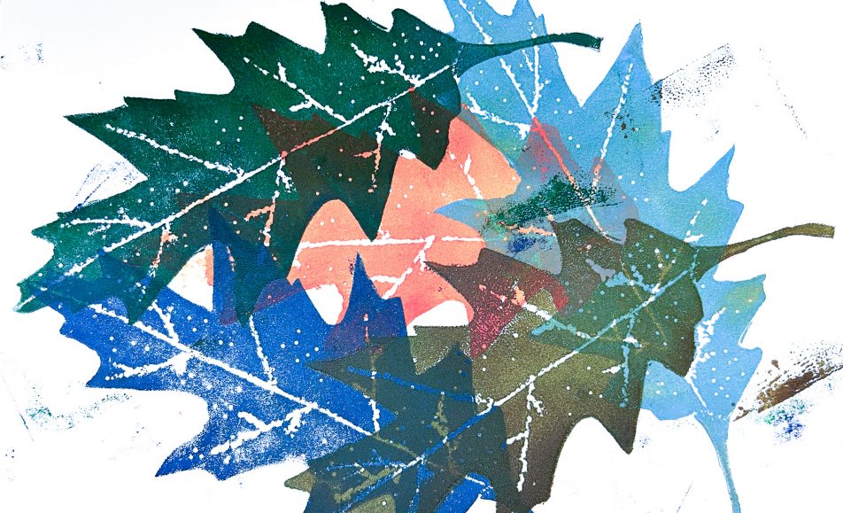 Surreale Pflanzen - Foto: © Corina Ott-Seelow