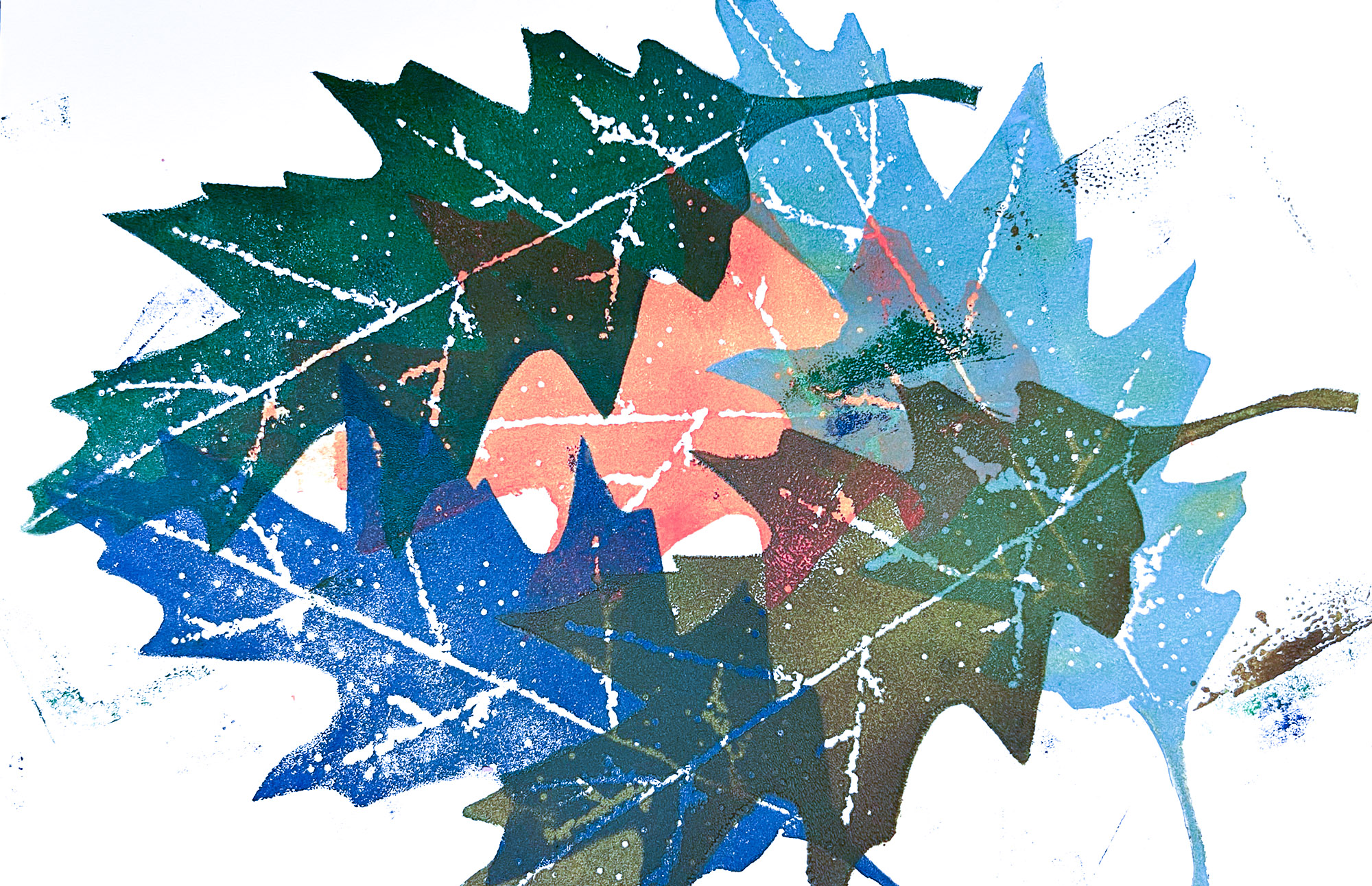 Surreale Pflanzen - Foto: © Corina Ott-Seelow