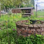 Interkultureller Garten 103+